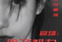 (全文)官场：除了权力还有啥（丁俊丰贺征）免费小说官场：除了权力还有啥试读更新章节-推文官