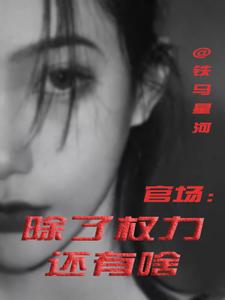 官场：除了权力还有啥推荐完结小说官场：除了权力还有啥(丁俊丰贺征)免费小说全本