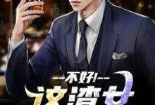 这渣女要虐死了最新完结小说这渣女要虐死了顾迟云云晚晚免费小说-推文官
