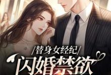 替身女经纪,闪婚禁欲大佬虐渣男推荐完结小说,替身女经纪,闪婚禁欲大佬虐渣男黎湘霍斯然免费小说全本-推文官