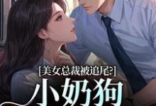 美女总裁被追尾？小奶狗以身相许！（宋明月向阳）全章小说阅读-推文官