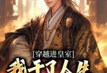 穿越进皇室，我干了人生四大美事（苏离凰九天）全章小说阅读-推文官