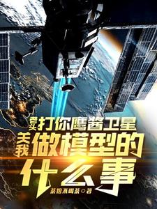 (全文)老头打你鹰酱卫星，关我做模型的什么事(秦阳)全本免费在线阅读