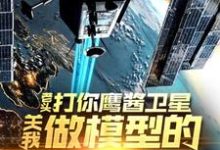 老头打你鹰酱卫星,关我做模型的什么事最新章节阅读老头打你鹰酱卫星,关我做模型的什么事(秦阳)试读更新章节-推文官
