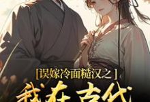 误嫁冷面糙汉之我在古代当小媳妇(苏琴岑殷闵)小说推荐误嫁冷面糙汉之我在古代当小媳妇全章小说阅读-推文官