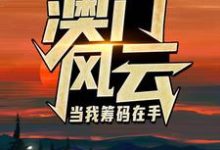 澳门风云：当我筹码在手推荐完结小说，澳门风云：当我筹码在手王东曼丽免费小说全本-推文官