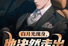 (全文)白月光现身，他决然走出婚姻围城（苏千雪陈醒）全本书籍阅读白月光现身，他决然走出婚姻围城免费小说全本-推文官