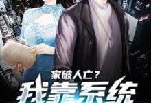 家破人亡?我靠系统儿孙满堂推荐完结小说,家破人亡?我靠系统儿孙满堂柳若澜许良免费小说全本-推文官