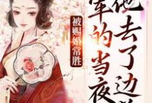 (全文)被赐婚常胜将军的当夜,他去了边关(青妩燕昭)免费小说被赐婚常胜将军的当夜,他去了边关试读更新章节-推文官
