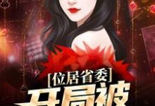 位居省委,开局被妻子举报(苏玉黎锦)全本书籍阅读位居省委,开局被妻子举报完整版小说-推文官