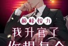 巅峰权力:我升官了你想复合完整版小说,巅峰权力:我升官了你想复合林磊试读更新章节-推文官