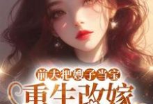 前夫把嫂子当宝，重生改嫁不原谅（夏晚晴）全本书籍阅读前夫把嫂子当宝，重生改嫁不原谅完整版小说-推文官