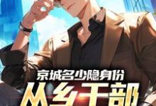 京城名少隐身份,从乡干部开始逆袭推荐完结小说,京城名少隐身份,从乡干部开始逆袭谢斌裴靖泽免费小说全本-推文官