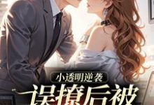 小透明逆袭完整版小说小透明逆袭(许惟昭方肃礼)全章小说阅读-推文官