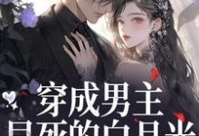 (全文)穿成男主早死的白月光?我不干了(谢观砚林茉)全本书籍阅读穿成男主早死的白月光?我不干了免费小说全本-推文官