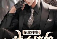 (全文)东北往事:一代大佬的成功之路(王晨马三)试读更新章节东北往事:一代大佬的成功之路免费小说-推文官