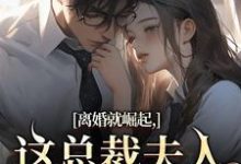 离婚就崛起,这总裁夫人她不做了苏心瑶南羽陌试读更新章节离婚就崛起,这总裁夫人她不做了苏心瑶南羽陌免费小说-推文官