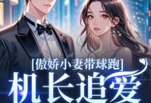 (全文)傲娇小妻带球跑，机长追爱不停歇免费小说全本，顾予琛徐歆薇试读更新章节-推文官