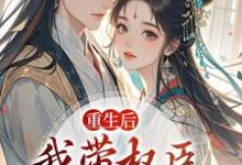 (全文)重生后，我带权臣杀入前夫府内（沈月昭陆明渊）全本书籍阅读重生后，我带权臣杀入前夫府内免费小说全本-推文官