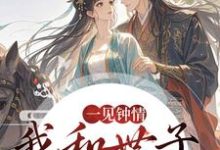 (全文)一见钟情，我和世子天生一对沈如风苏云锦最新完结小说一见钟情，我和世子天生一对免费阅读-推文官