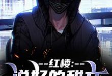 红楼：说好的甜文咋变恐怖文了齐洛最新完结小说，红楼：说好的甜文咋变恐怖文了全本免费在线阅读-推文官