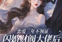 恋爱三年不领证，闪婚财阀大佬后他急疯苏婠周衍焱最新完结小说，恋爱三年不领证，闪婚财阀大佬后他急疯全本免费在线阅读-推文官