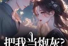 把我当炮灰？来人！给我虐谢宏屿林昭完结小说推荐，把我当炮灰？来人！给我虐全章小说阅读-推文官