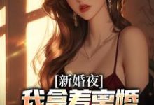 新婚夜，我拿着离婚协议黯然离场完整版小说新婚夜，我拿着离婚协议黯然离场(叶修远白若雪)全章小说阅读-推文官
