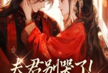 夫君别哭了！我来替你虐渣完整版小说，夫君别哭了！我来替你虐渣沈婉宁韩云泽全章小说阅读-推文官