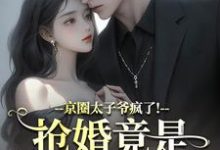 京圈太子爷疯了!抢婚竟是蓄谋已久完整版小说,京圈太子爷疯了!抢婚竟是蓄谋已久陆妄辞虞晚颜试读更新章节-推文官