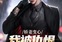 娇妻变心，我被仇恨占据了全身完整版小说，娇妻变心，我被仇恨占据了全身路无铭墨凉馨全章小说阅读-推文官
