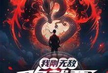 我刚无敌，你就要跟我退婚？完整版小说，我刚无敌，你就要跟我退婚？苏阳全章小说阅读-推文官