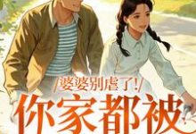 婆婆别虐了！你家都被偷光了推荐完结小说婆婆别虐了！你家都被偷光了(苏圆圆)免费小说全本-推文官