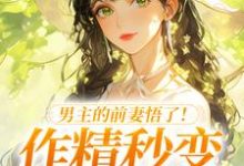 (全文)男主的前妻悟了！作精秒变粘人精许岁宁霍青山完结小说推荐男主的前妻悟了！作精秒变粘人精试读更新章节-推文官