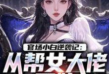 (全文)官场小白逆袭记:从帮女大佬开始(唐诚李文静)全本书籍阅读官场小白逆袭记:从帮女大佬开始免费小说全本-推文官