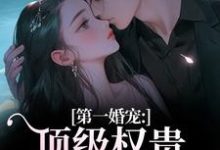 第一婚宠：顶级权贵追妻火葬场完整版小说第一婚宠：顶级权贵追妻火葬场(叶惊兰薄戎淮)全章小说阅读-推文官