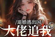 退婚逃出国，大佬追我满世界跑最新完结小说退婚逃出国，大佬追我满世界跑江野崎楚灵兮免费小说-推文官