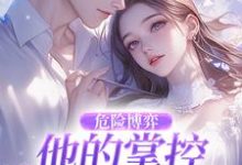 (全文)危险博弈：他的掌控与她的反杀（叶时欢）试读更新章节危险博弈：他的掌控与她的反杀免费小说-推文官