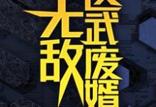 无敌医武废婿秦铭最新完结小说，无敌医武废婿全本免费在线阅读-推文官