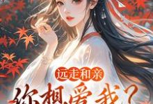 远走和亲,你想爱我?晚了(姜兰阮宜年)全章小说阅读-推文官