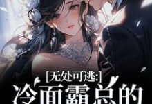 无处可逃：冷面霸总的专宠小娇妻推荐完结小说无处可逃：冷面霸总的专宠小娇妻(傅周烬苏挽挽)免费小说全本-推文官