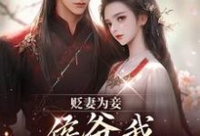 贬妻为妾，侯爷我不伺候啦慎如余启热门小说排行榜贬妻为妾，侯爷我不伺候啦免费小说-推文官
