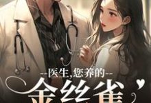 医生，您养的金丝雀要飞走了最新完结小说医生，您养的金丝雀要飞走了苏慕春丁嘉朗免费小说-推文官