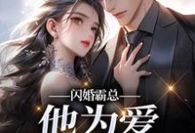闪婚霸总，他为爱抛弃一切热门小说排行榜闪婚霸总，他为爱抛弃一切苏绿柔厉墨焱免费小说全本-推文官