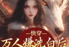 (全文)快穿：万人嫌洗白后成香饽饽了(林观贞裴钧)全本免费在线阅读-推文官