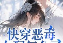(全文)快穿恶毒女配怎么了,男主他超爱免费小说全本,江辞晚傅云承试读更新章节-推文官