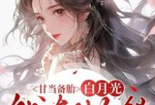 甘当备胎，白月光能有什么错（沈青榕）全章小说阅读-推文官
