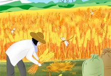 (全文)周政良空降官场大人物裙下臣热门小说排行榜，周政良空降官场大人物裙下臣周政良全章小说阅读-推文官