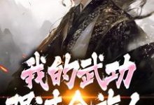 完了！我的武功强过全族人完整版小说，完了！我的武功强过全族人林枫试读更新章节-推文官