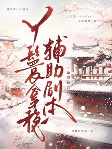 丫鬟拿稳辅助剧本热门小说排行榜丫鬟拿稳辅助剧本傅初霁免费小说全本